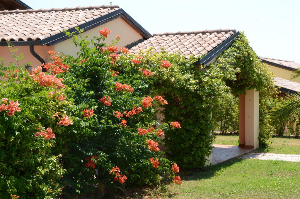 Le Corti Di Montepitti