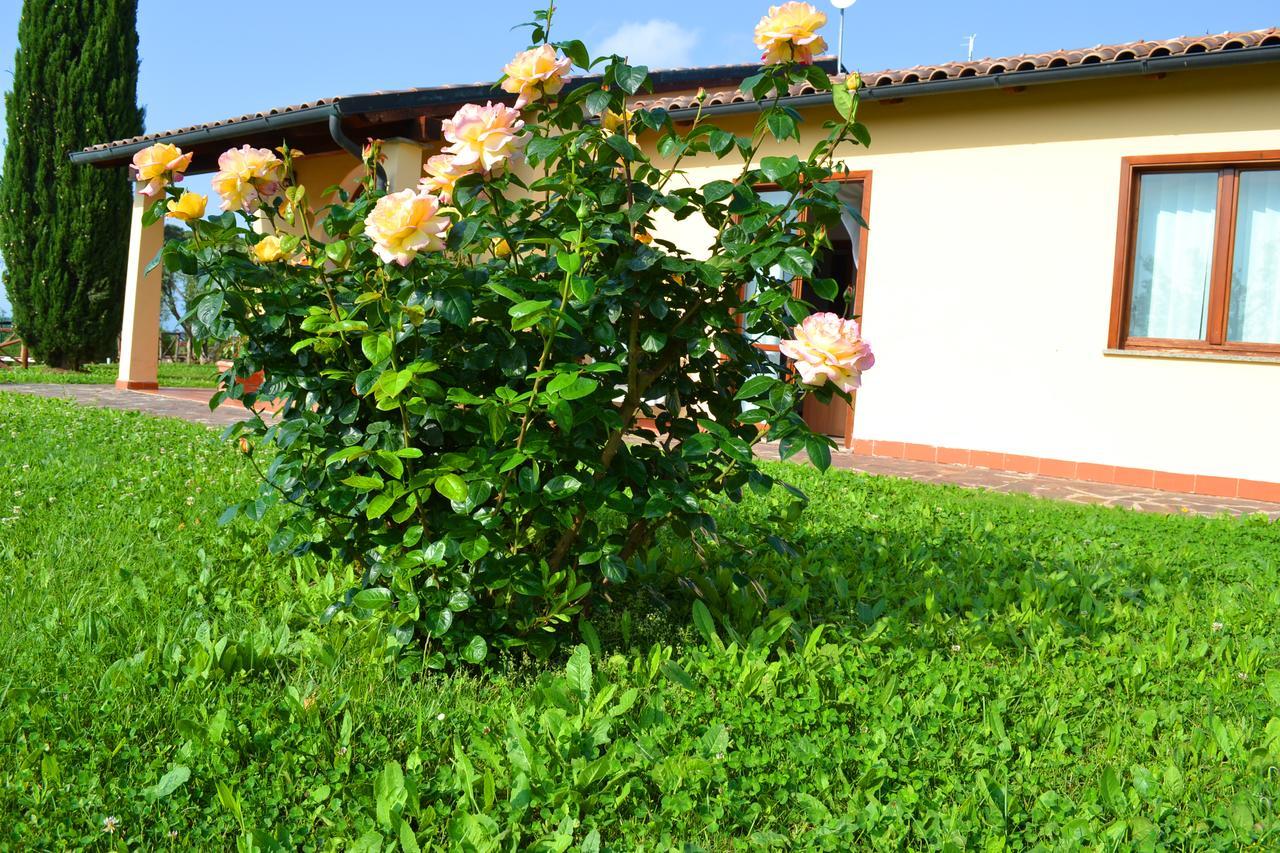 Le Corti Di Montepitti Aparthotel